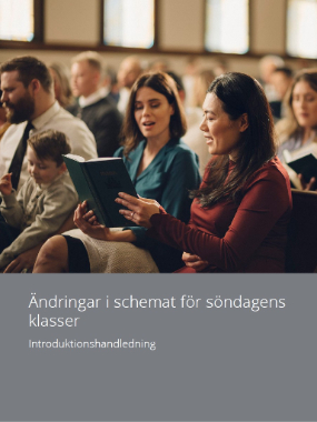 SCMS---Swe---Img.jpg